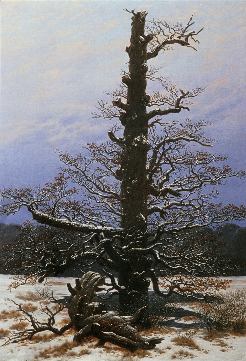 Oak Tree in the Snow by Caspar David Friedrich