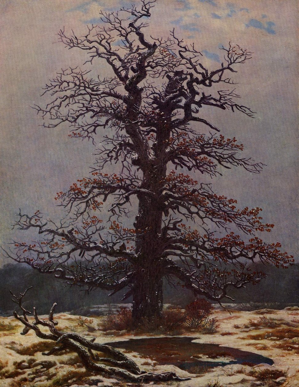 Oak in the Snow by Caspar David Friedrich