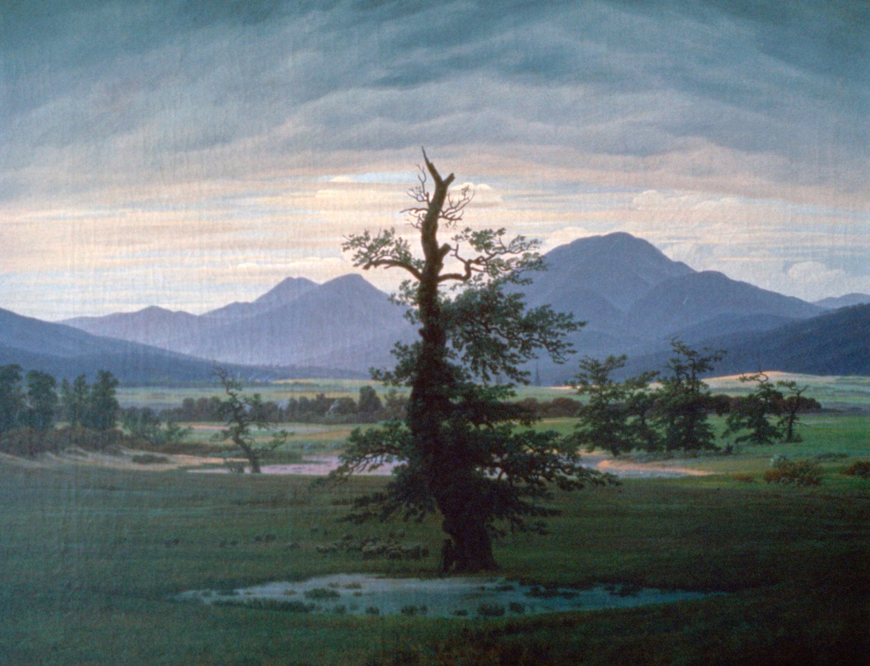 The Solitary Tree by Caspar David Friedrich