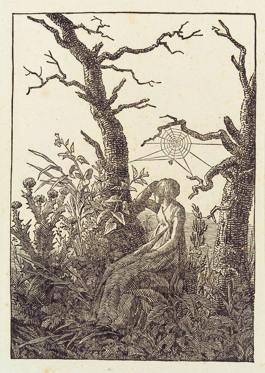 The Woman with the Spider