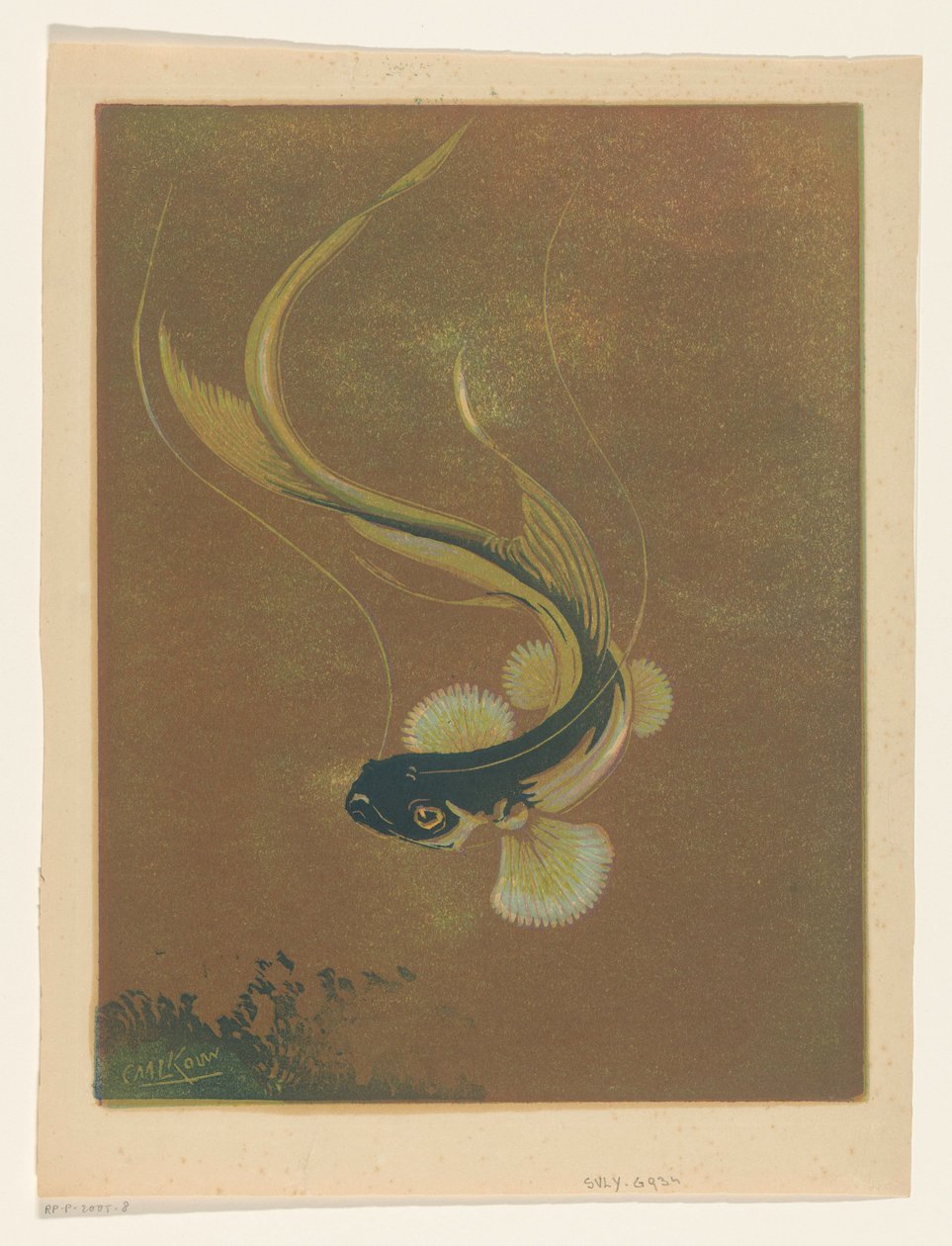 Swimming Fish by Casper M.L. Kouw