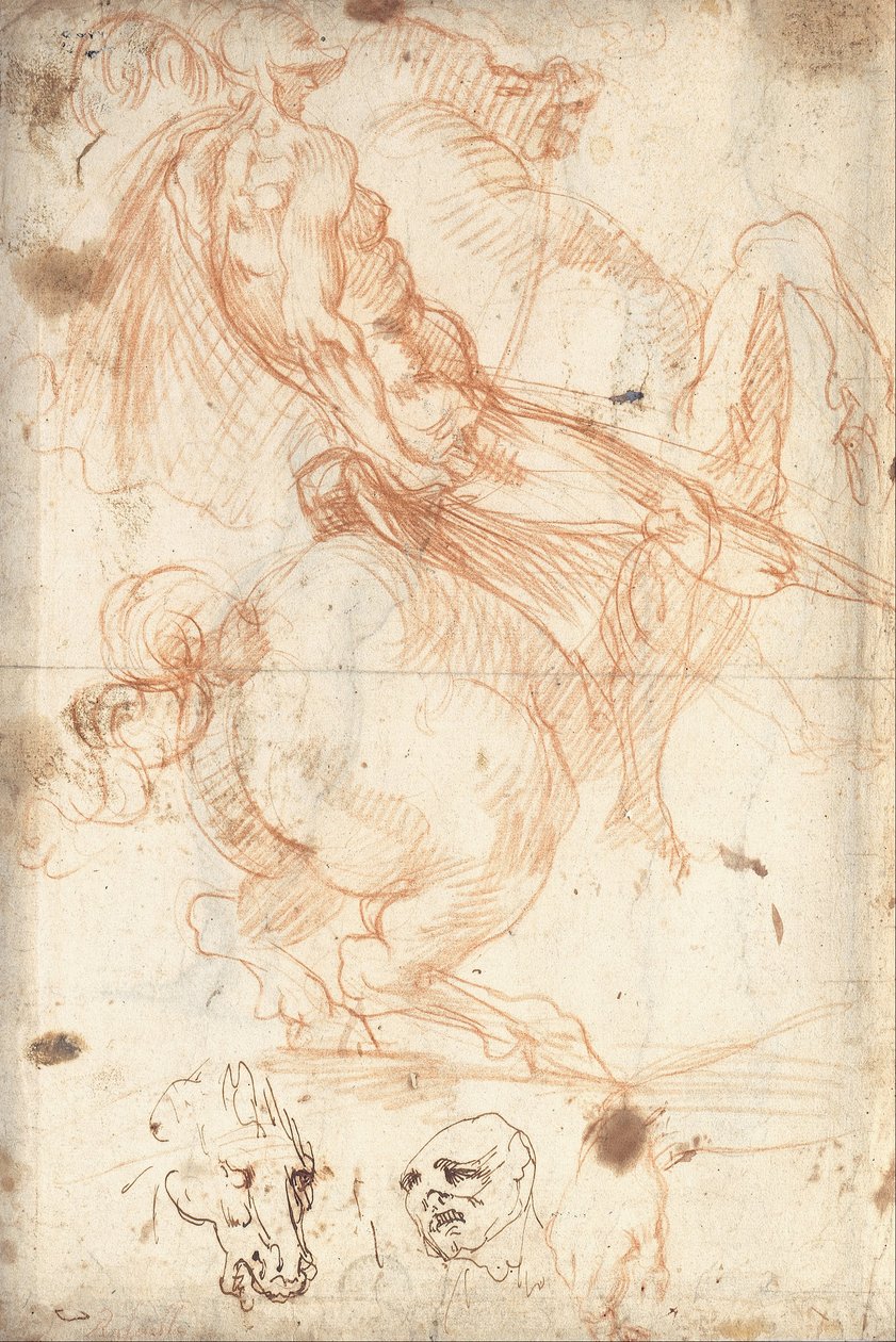 Equestrian Study by Cavalier d’Arpino
