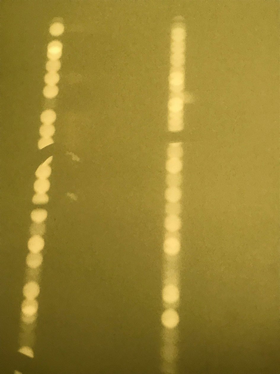 Composition - Light by Cécile Jamet