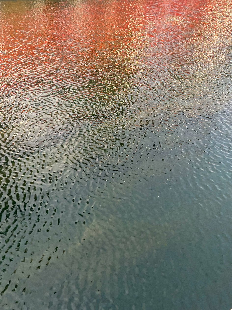 Composition - Reflections by Cécile Jamet