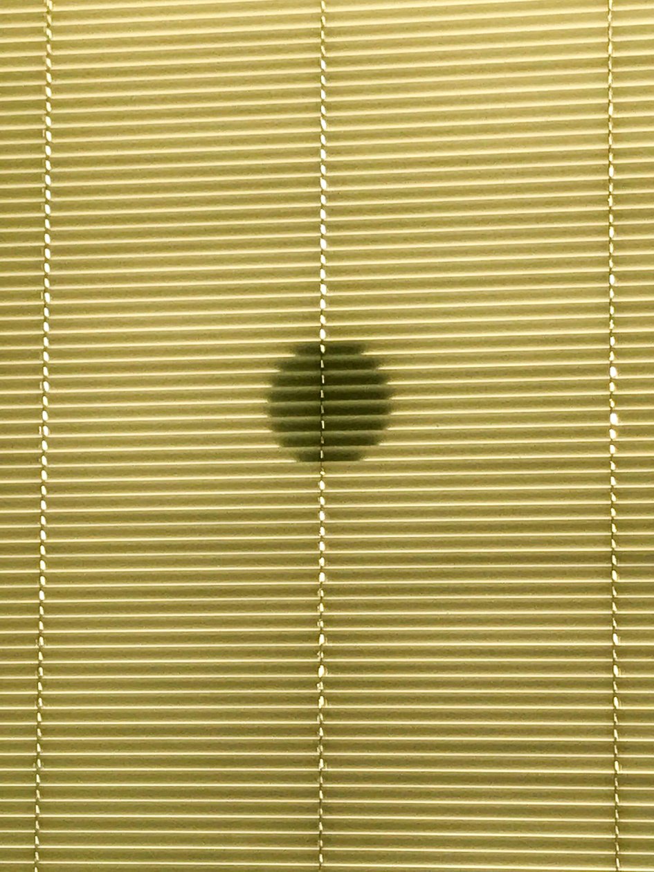 Composition - Shadows by Cécile Jamet