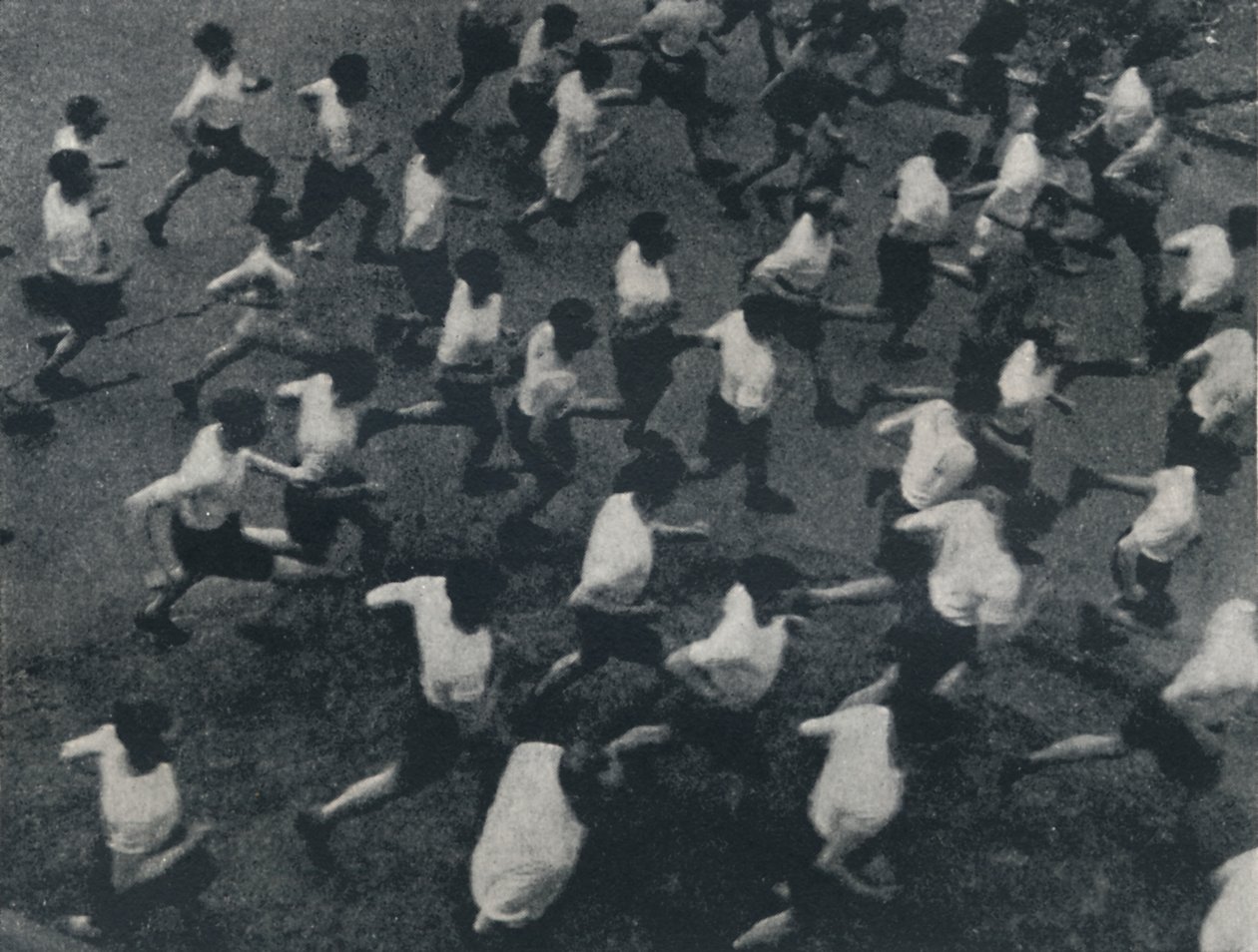 The Field by Cecil Beaton