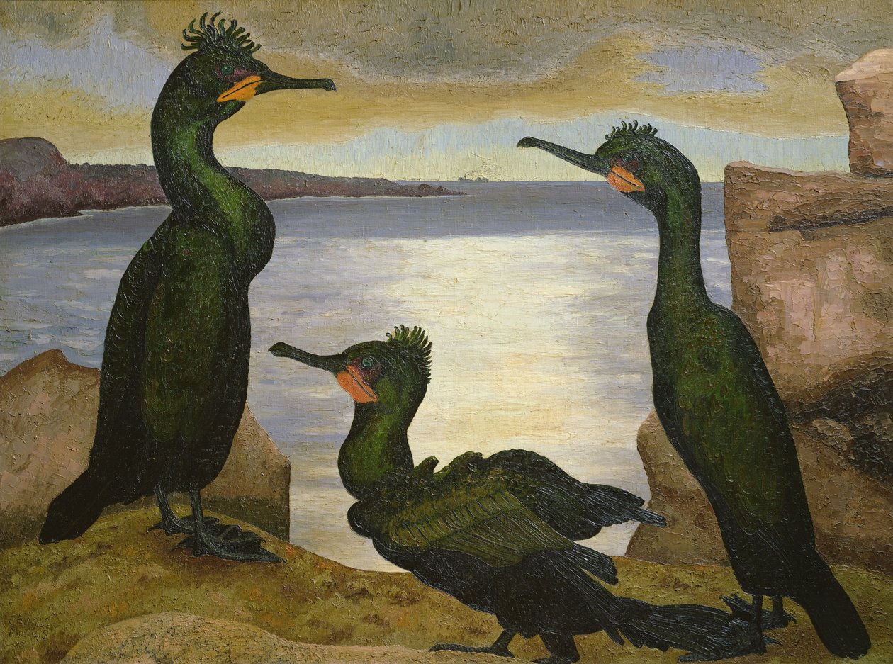 Shags by Cedric Morris