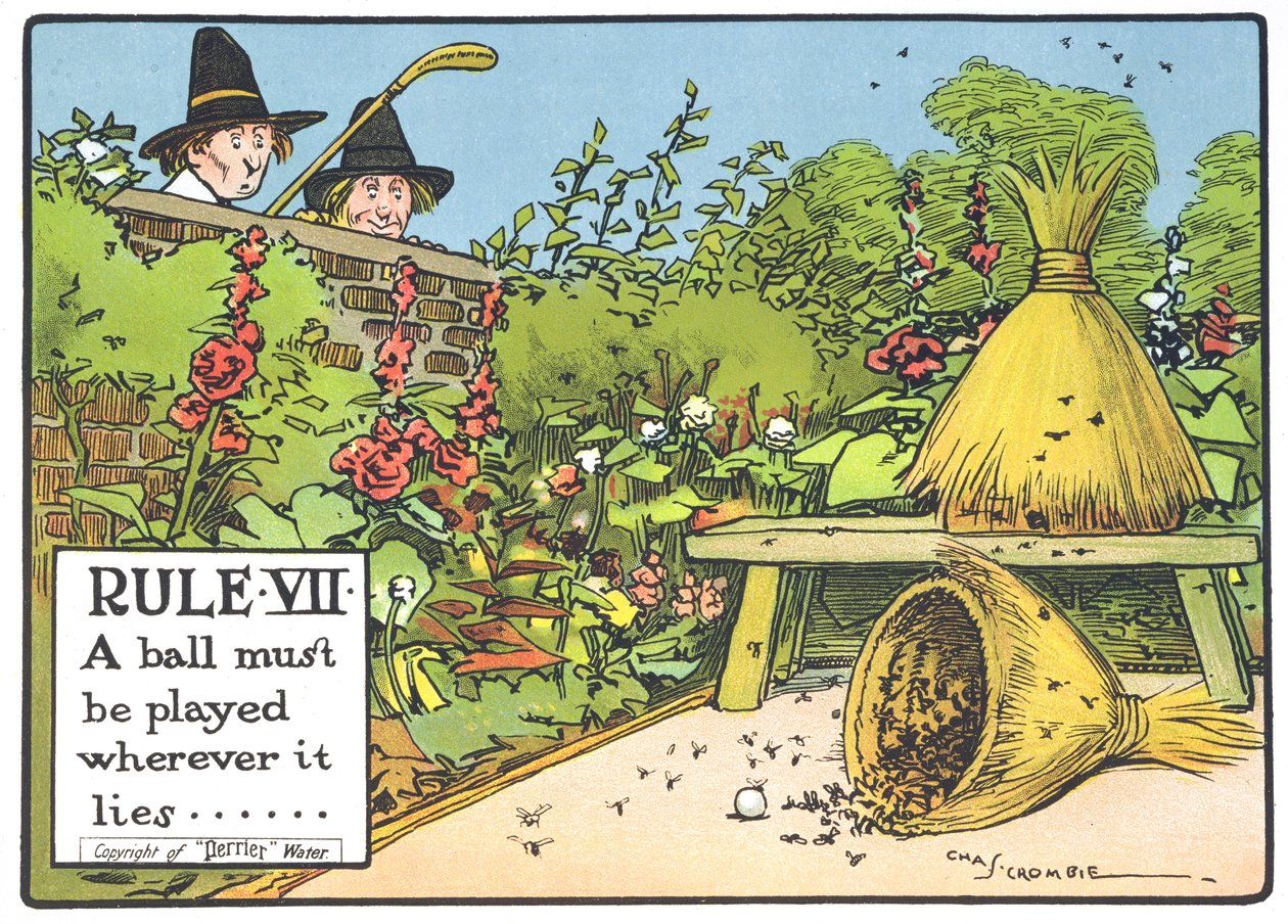 Rule VII: A ball must be played wherever it lies..., from 