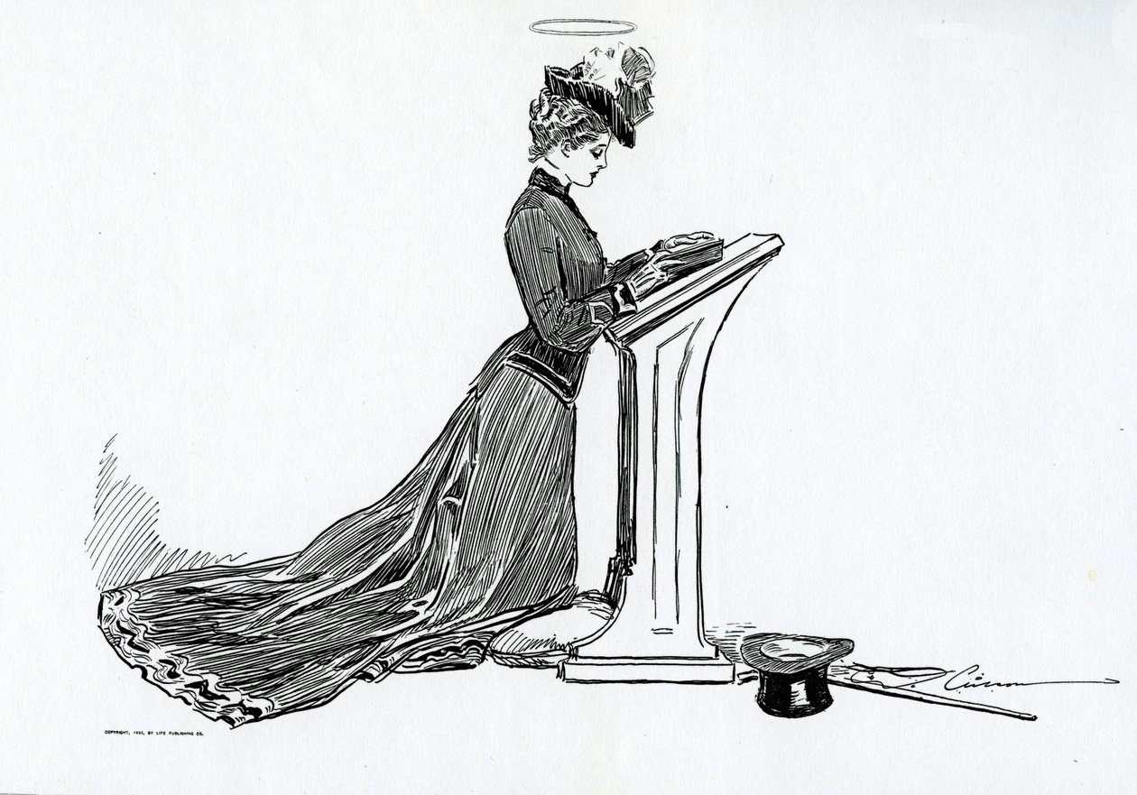 A Gibson Girl, 1903 by Charles Dana Gibson