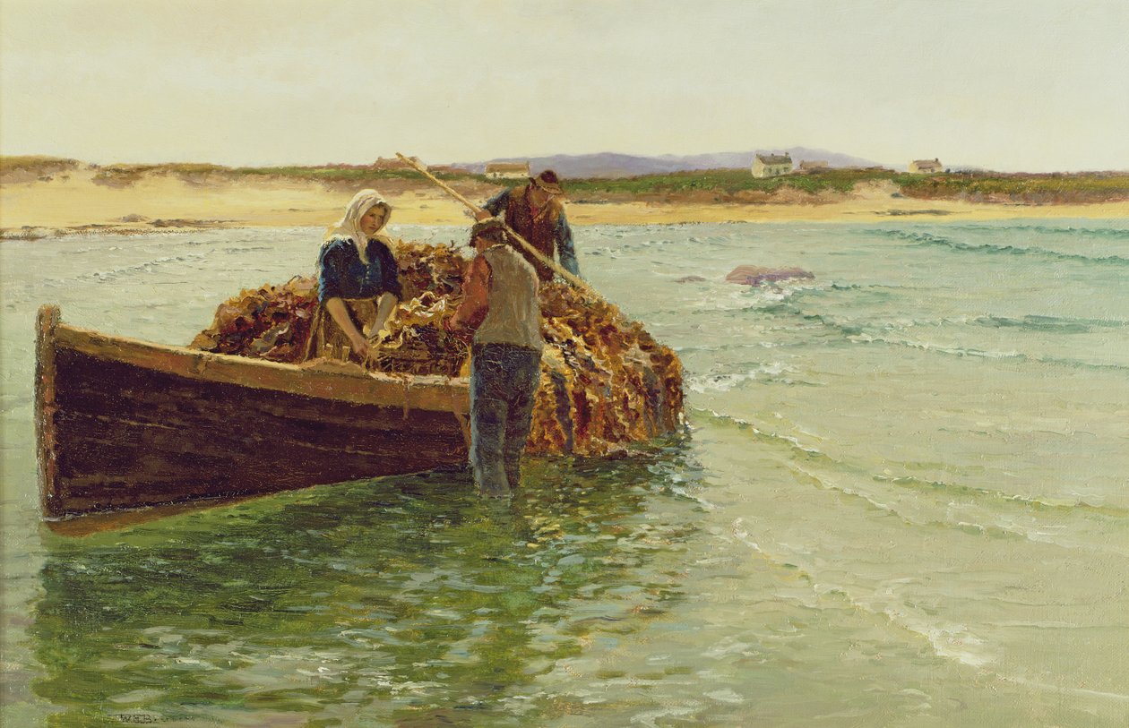 Unloading Kelp Weed by Charles William Bartlett
