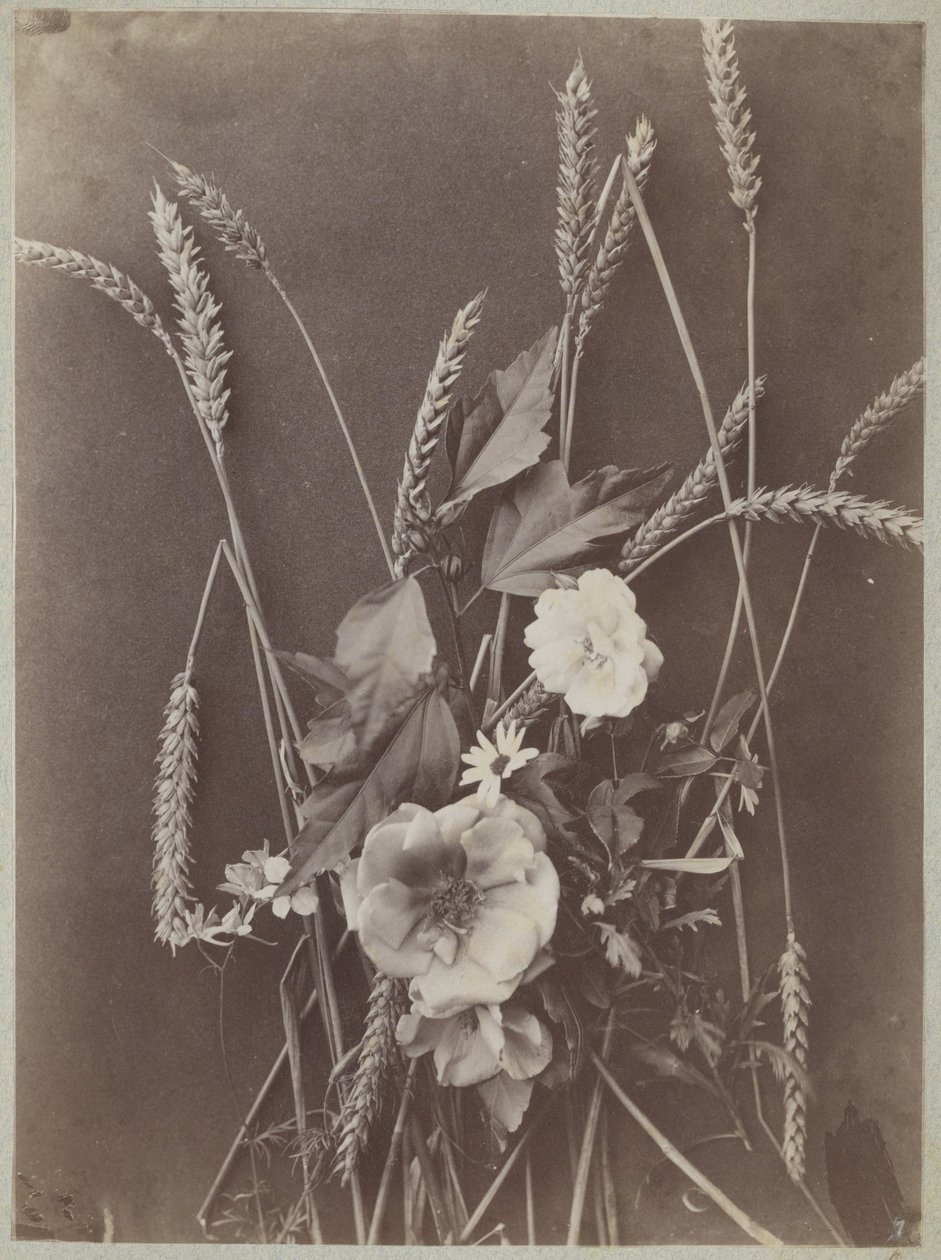 Flower Study with Ears of Corn by Charles Aubry (manner of)