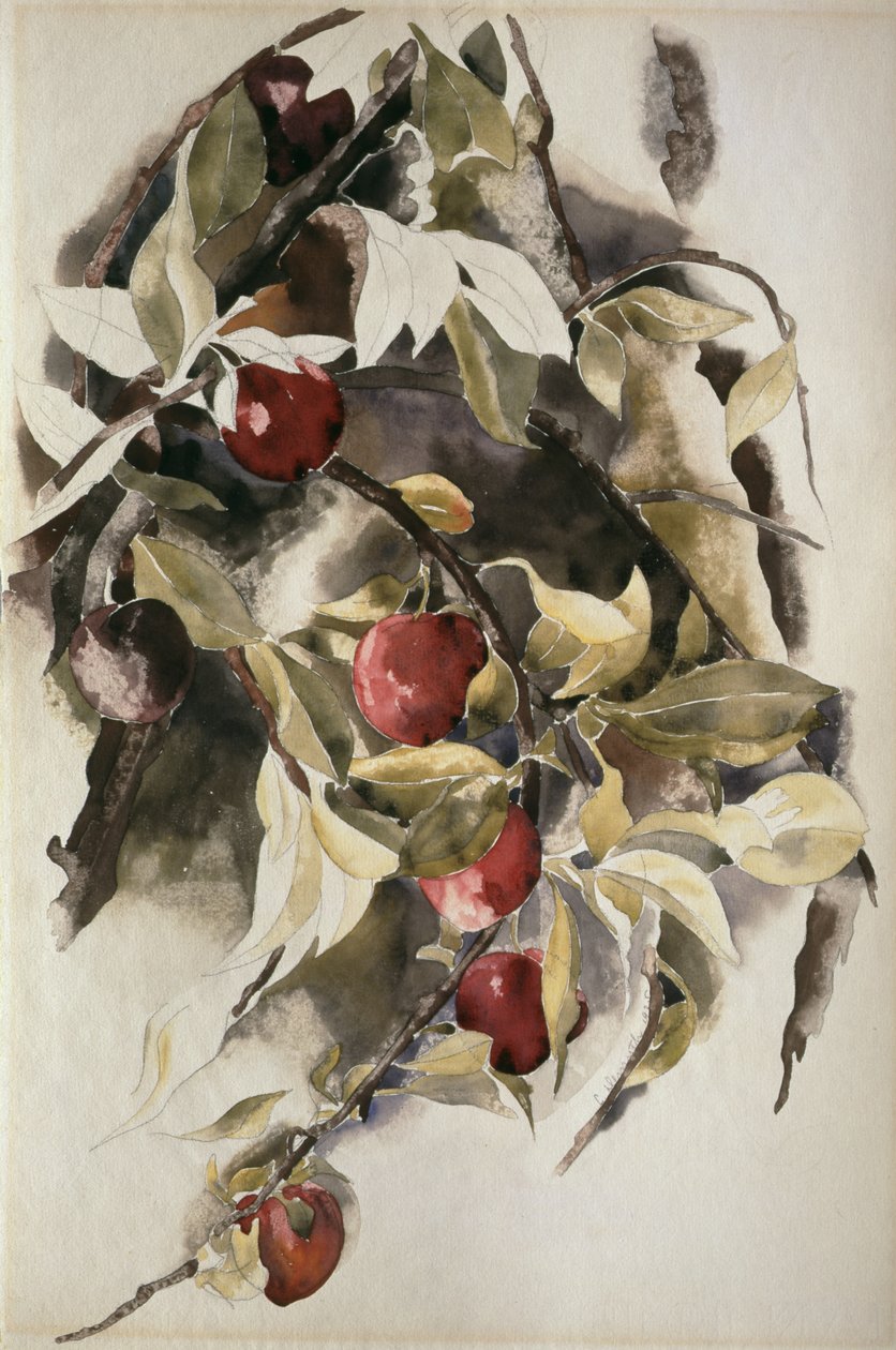 Plums by Charles Demuth