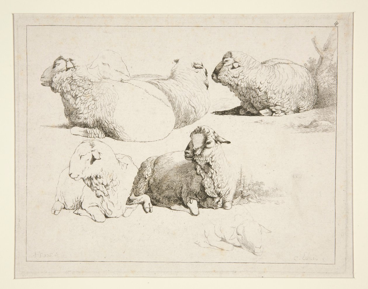 Sheep at Pasture by Charles Echard