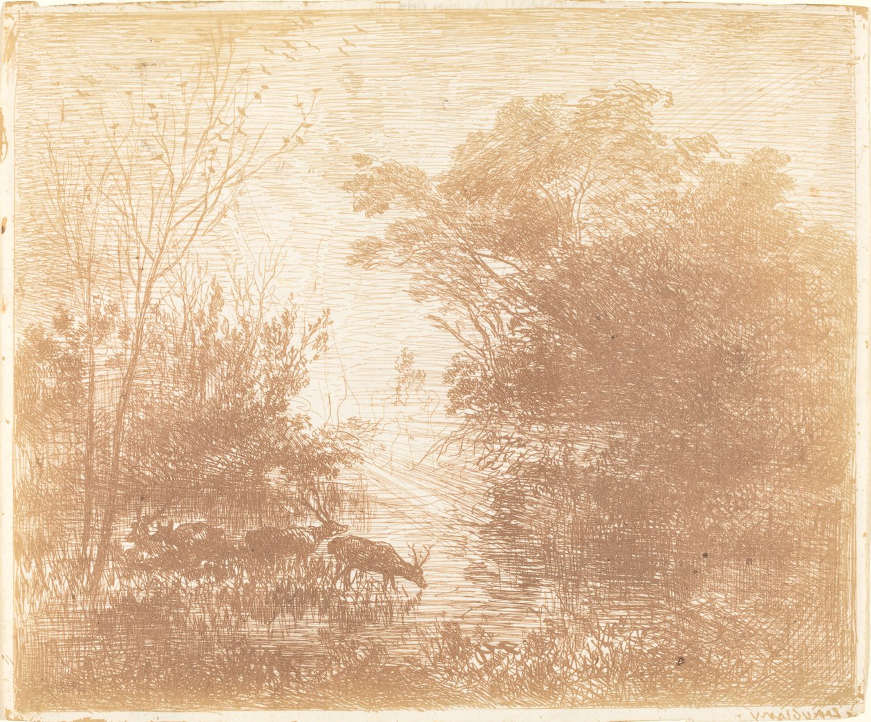 Deer by Charles Francois Daubigny