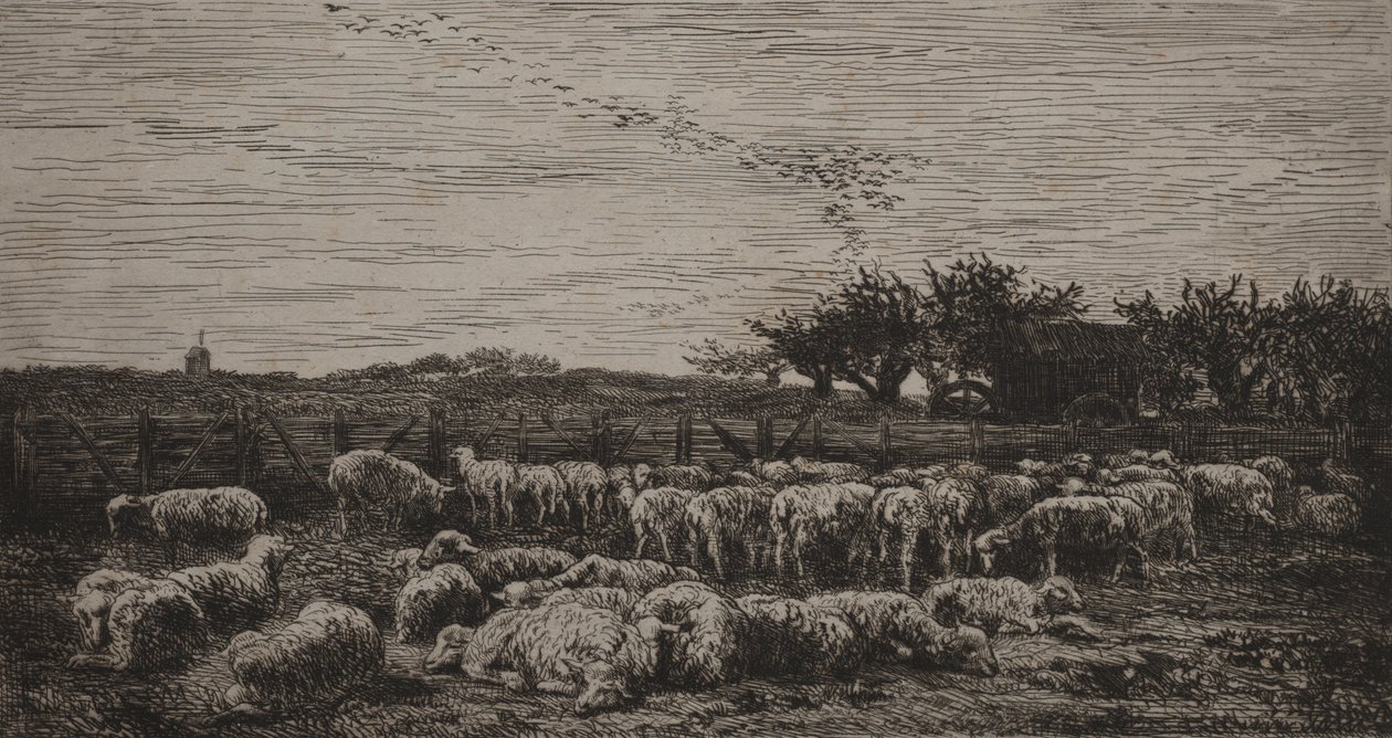 The Large Sheepfold by Charles Francois Daubigny