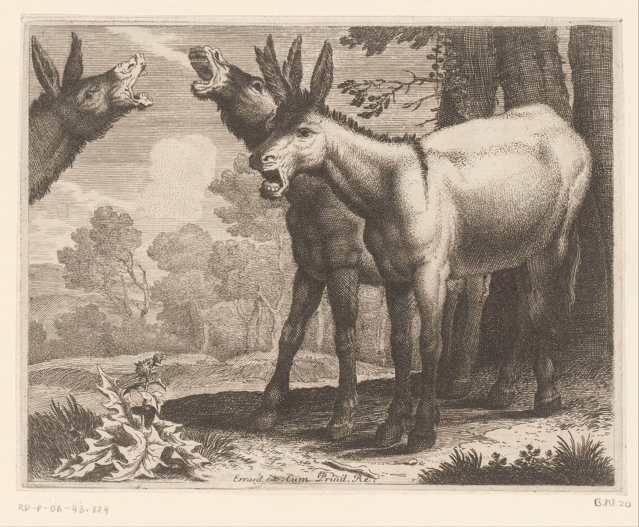 Braying donkeys (series title: Animal Series) by Charles II Errard (attributed to)