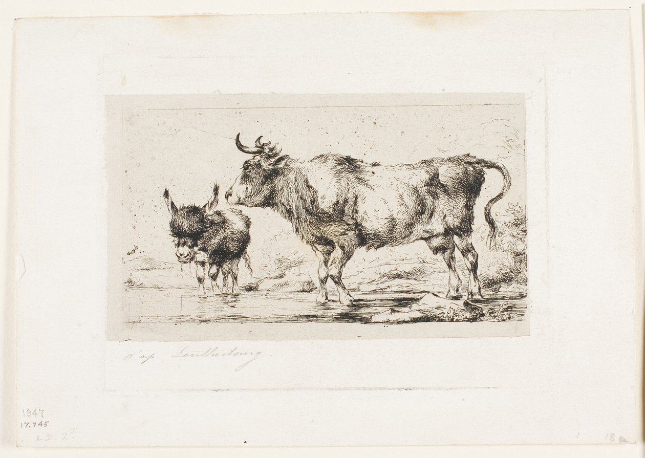 The Cow and Ass by Charles Meryon