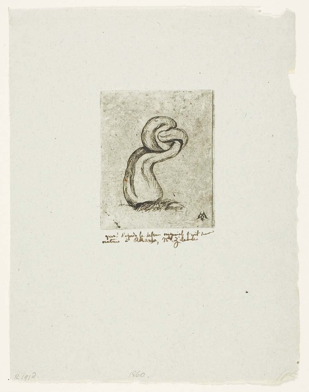 The Sickly Cryptogam by Charles Meryon