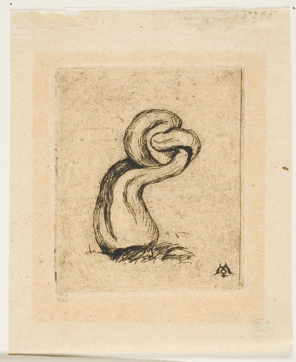 The Sickly Cryptogam by Charles Meryon