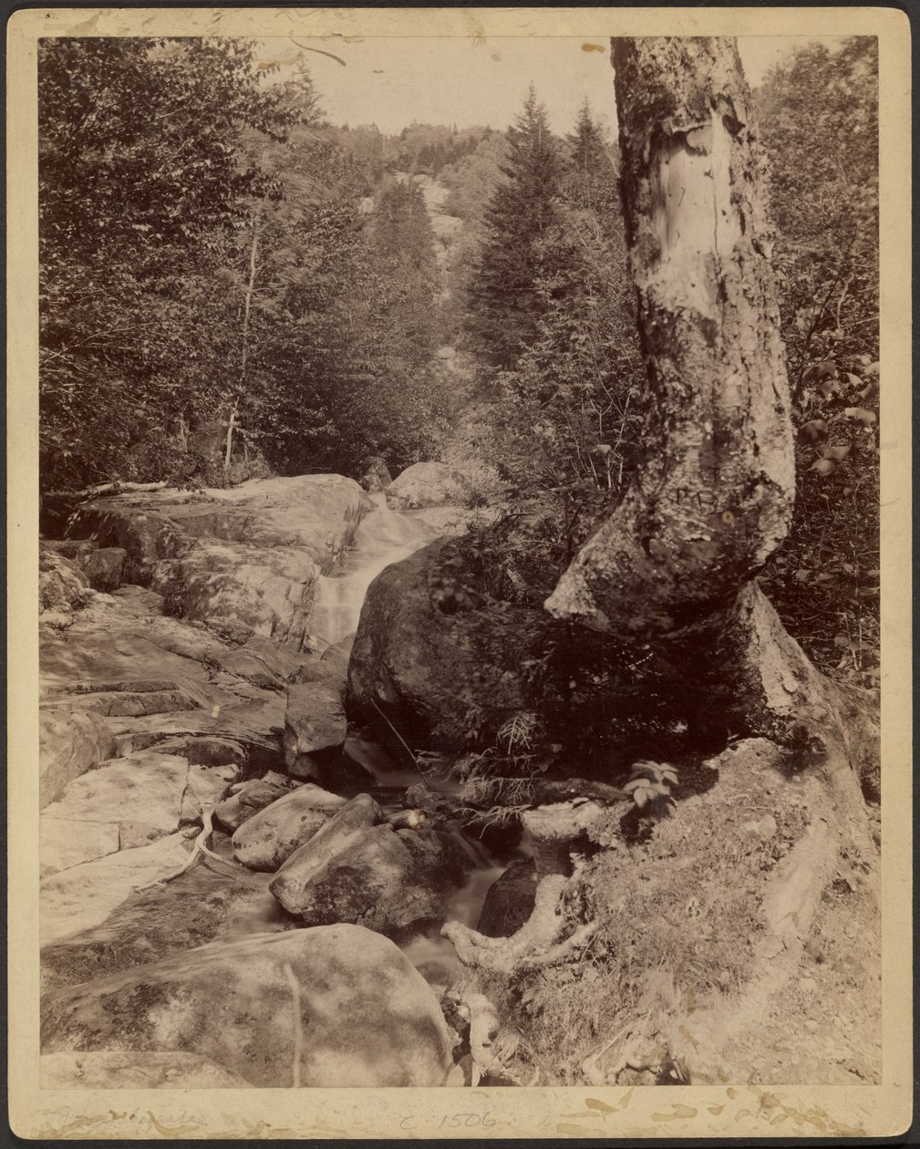 Cascading Stream by Charles P. Hibbard
