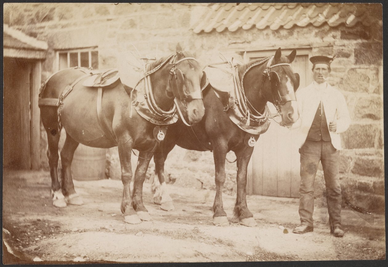 Man with Two Horses by Charles Reid
