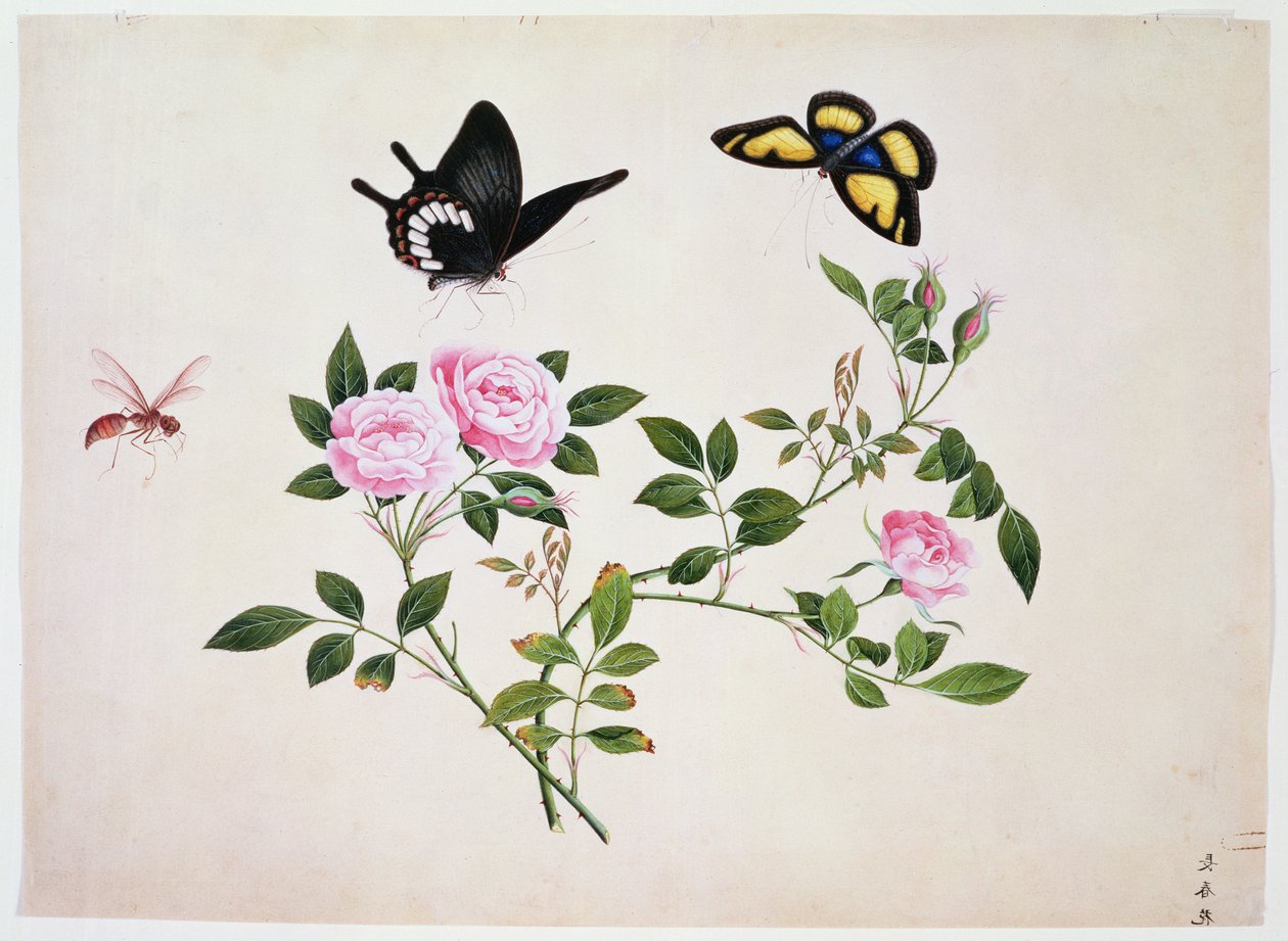 Roses in Bud and Bloom with Butterflies and Insects by Chinese School