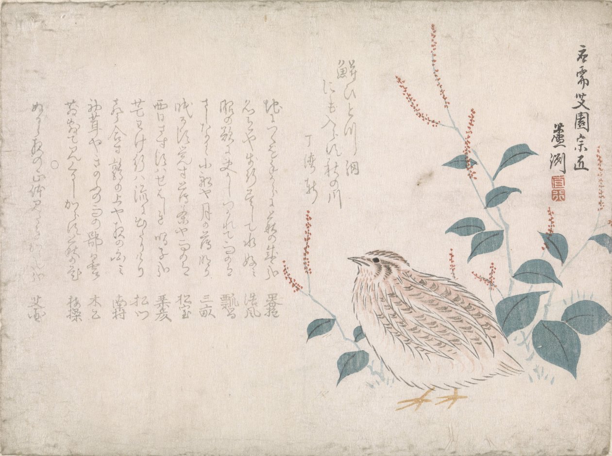 Quail by Chokko Roshû