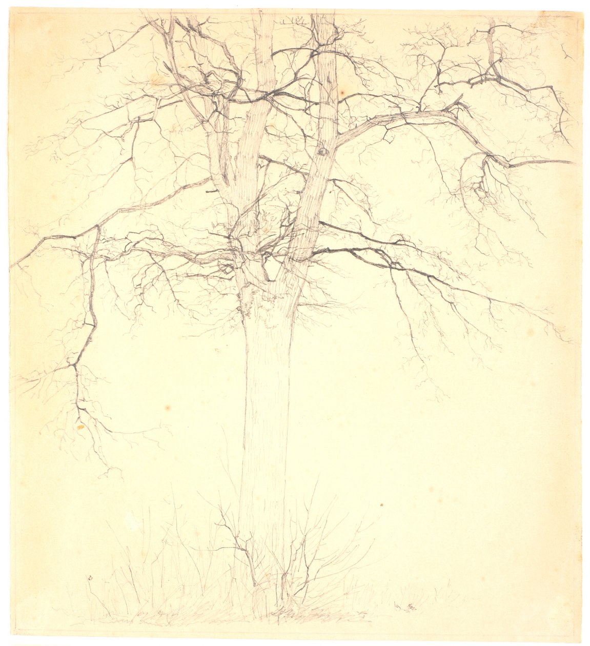 Linden Tree by the Path of Love by Christen Købke