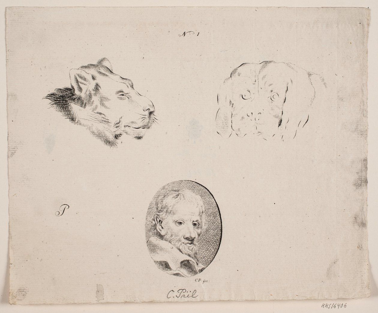 Sample Sheet with Man