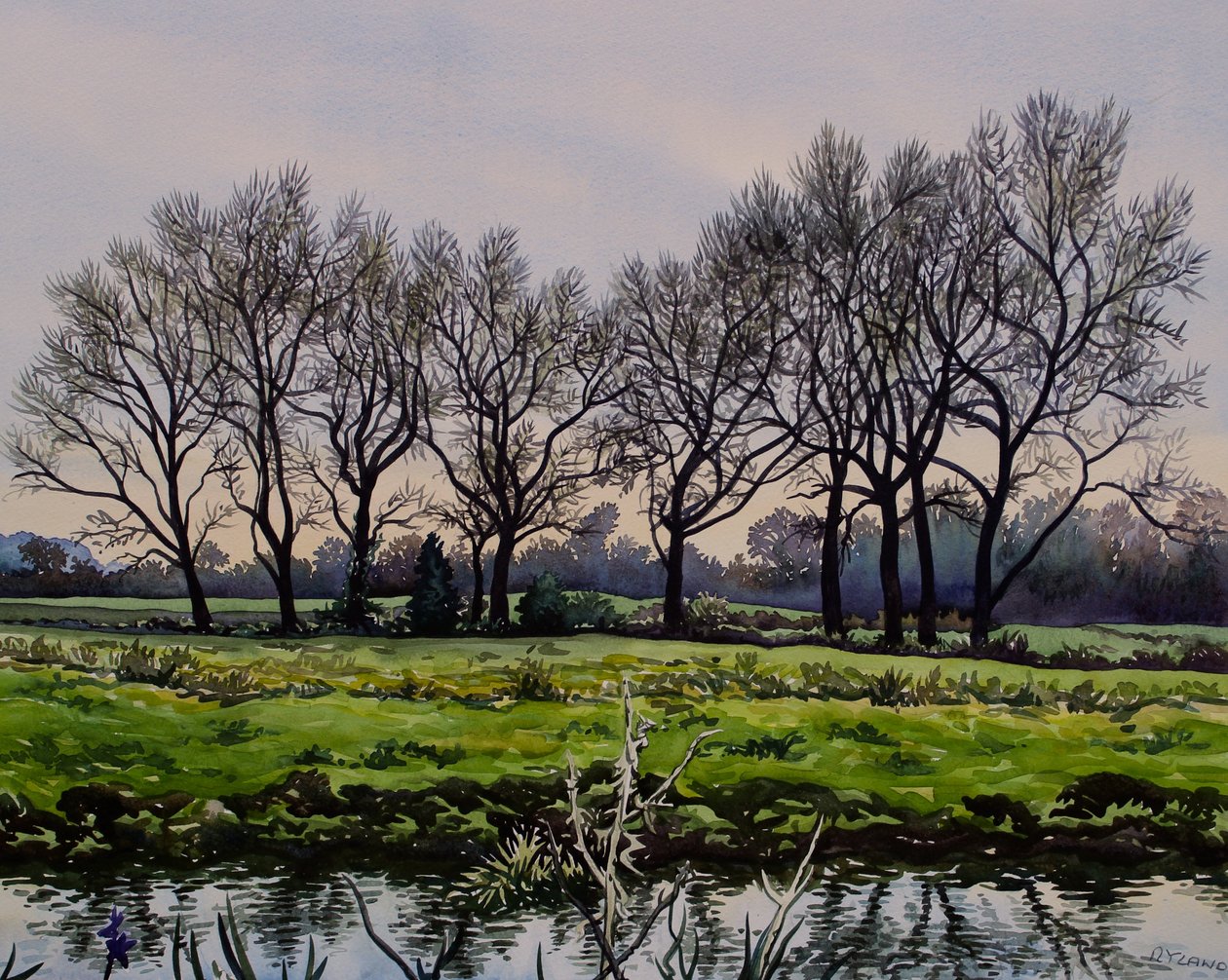 Winter Trees by Christopher Ryland