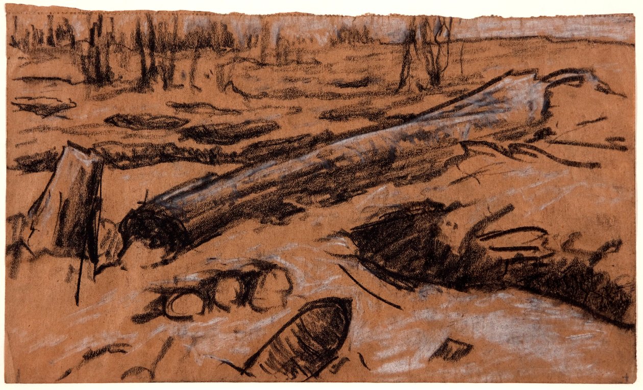 A Fallen Tree by Christopher Williams