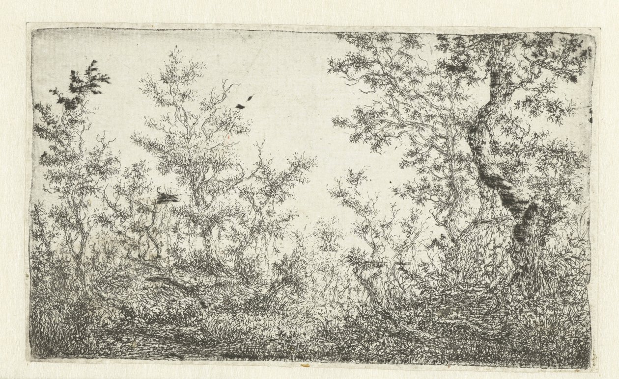 Clearing in the Forest by Claes van Beresteyn