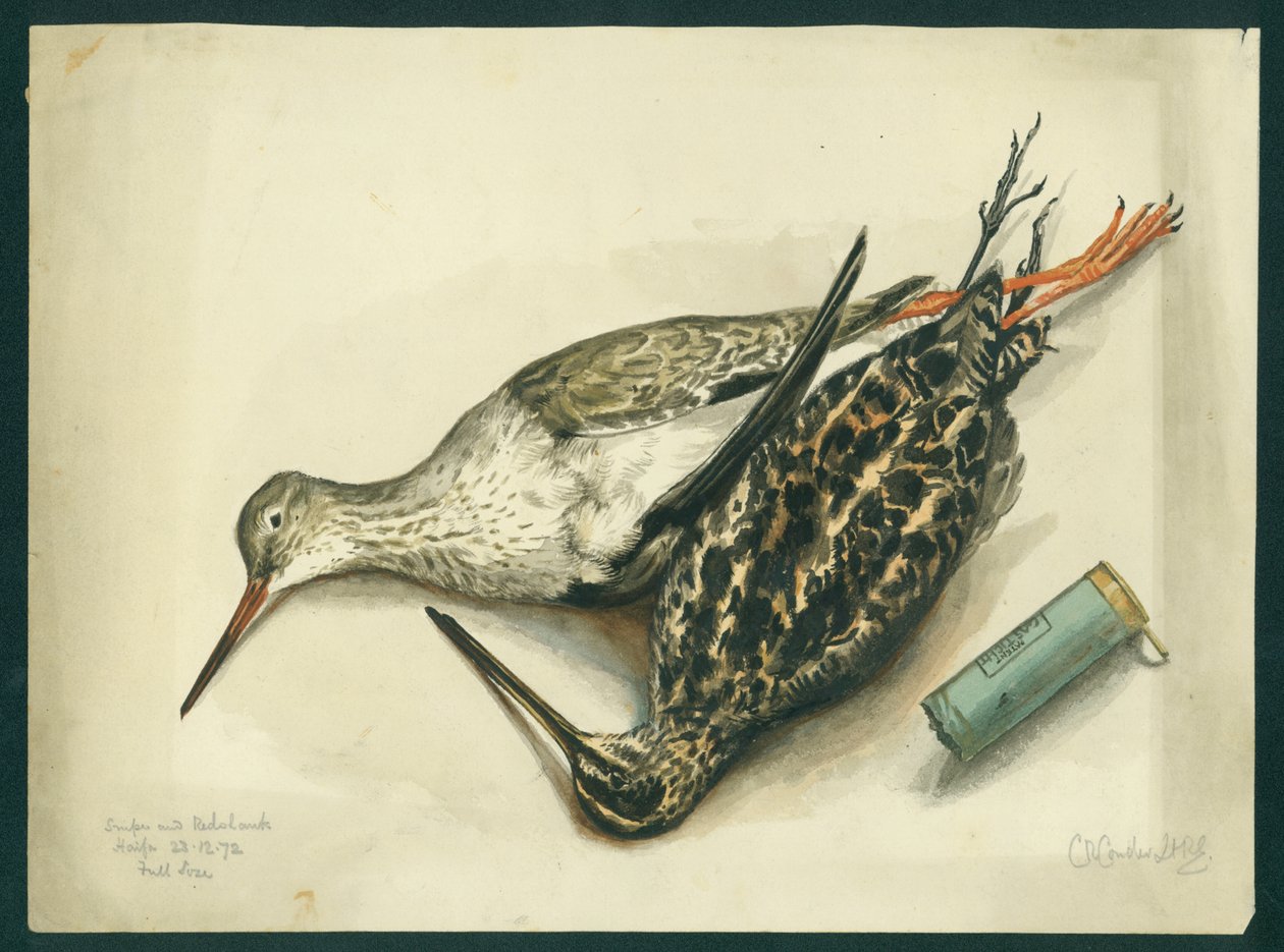 Snipe and Redshank, 1872 by Claude Conder