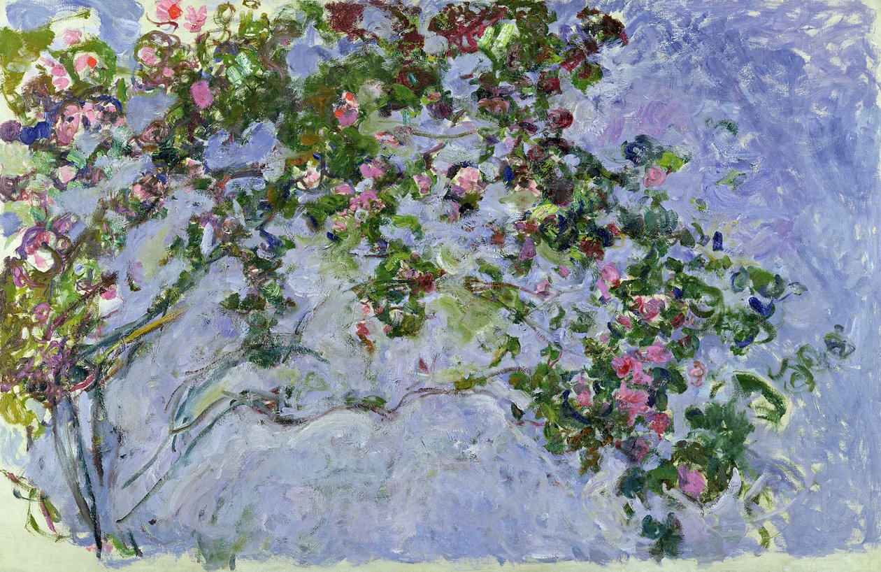 The Roses, 1925-26 by Claude Monet
