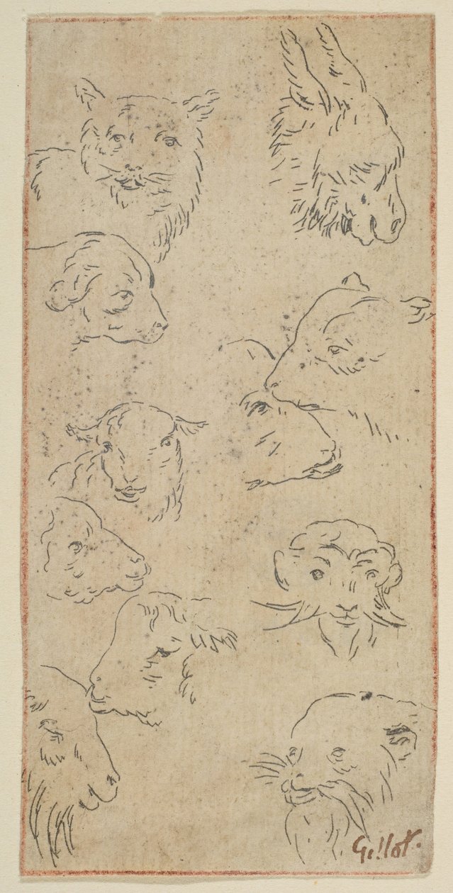 Study of Animal Heads, n.d. by Claude Gillot