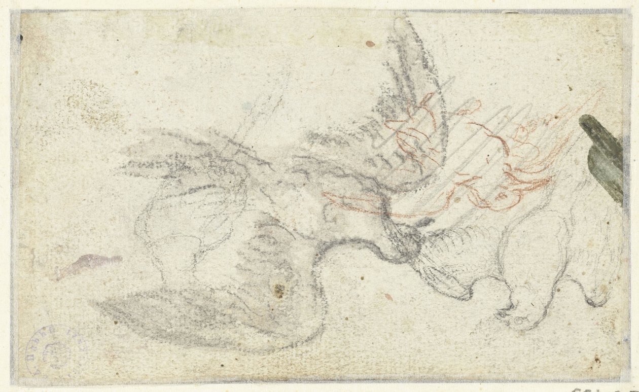 Three Sketches of a Bird by Claude Lorrain