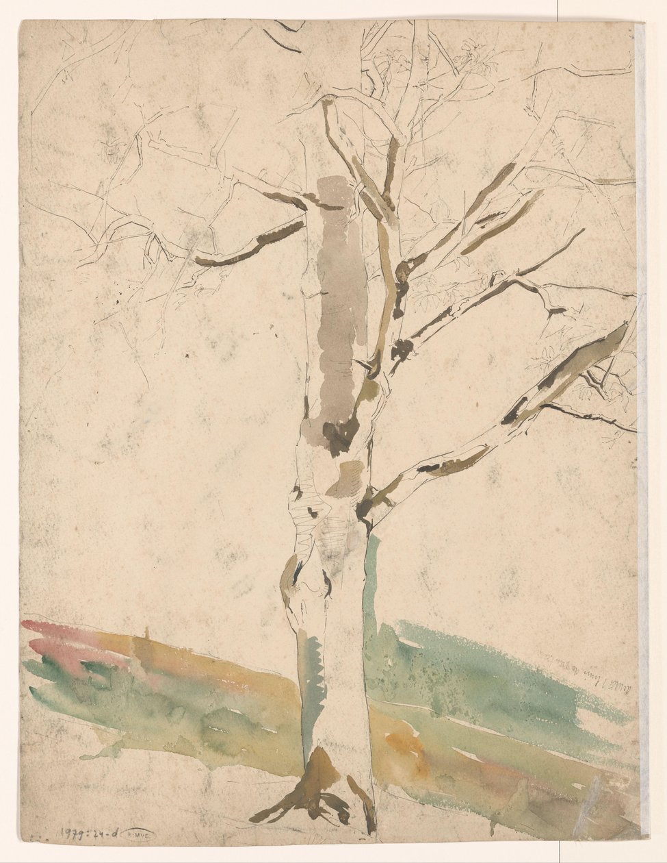 Study of a Tree by Coba Steenhoff
