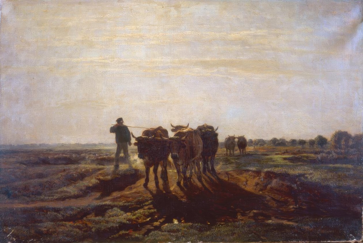 Flat Landscape with Oxen by Constant Troyon
