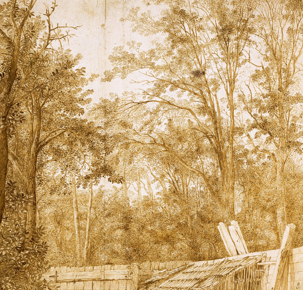 Trees Behind a Wooden Fence, c. 1638-1642 by Hendrick Cornelisz. Vroom