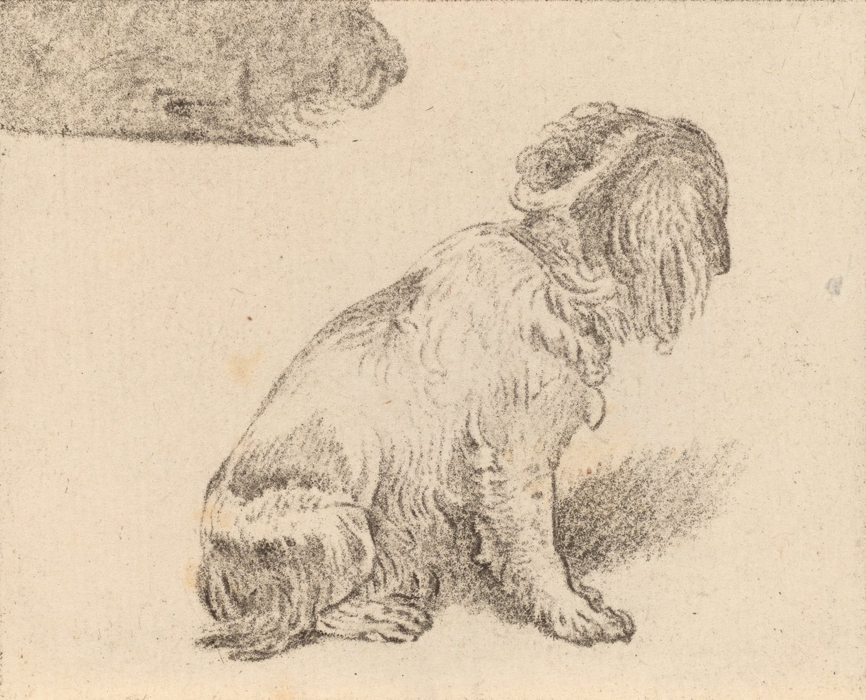 Seated Dog by Cornelis Brouwer