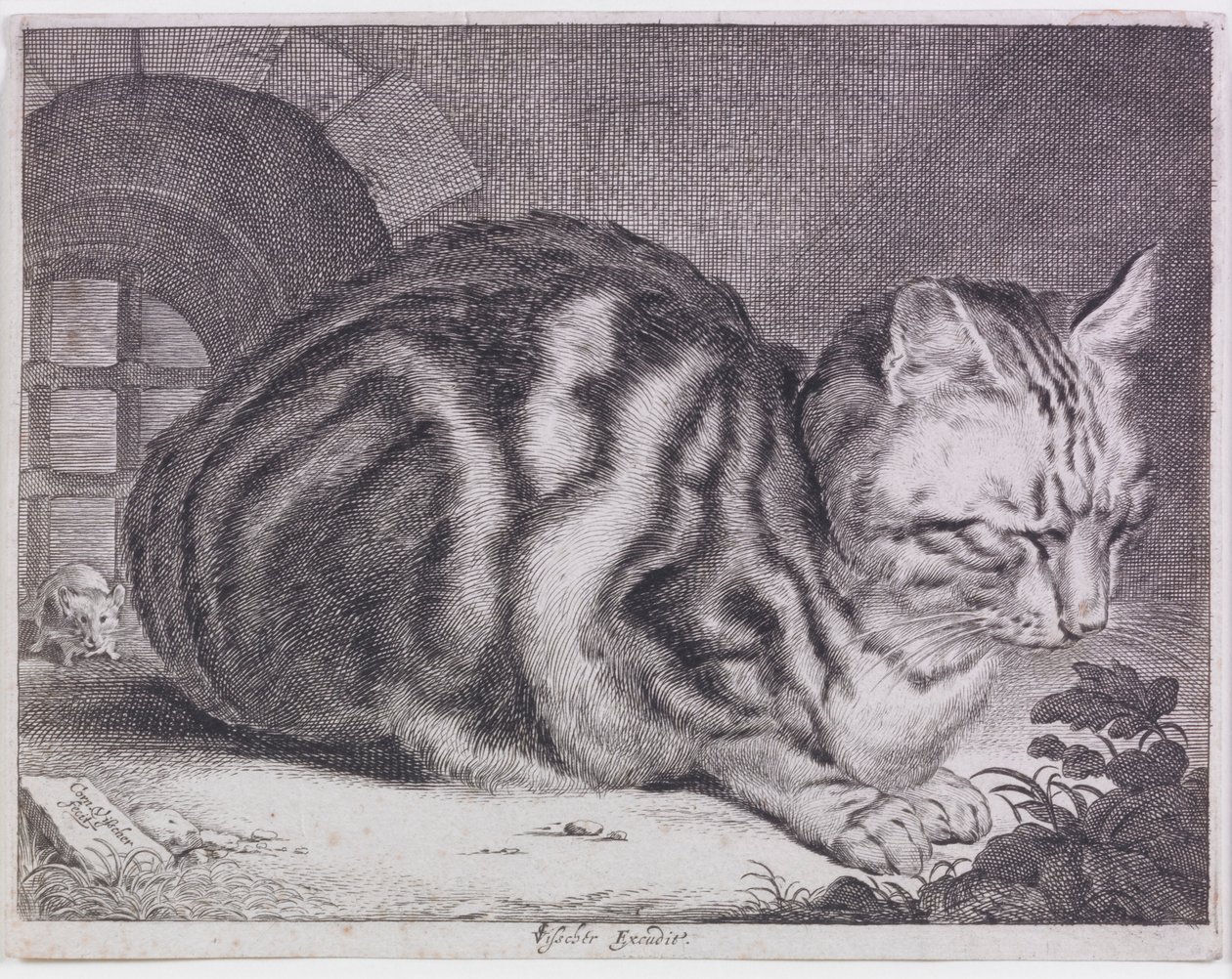 The Large Cat by Cornelis de Visscher