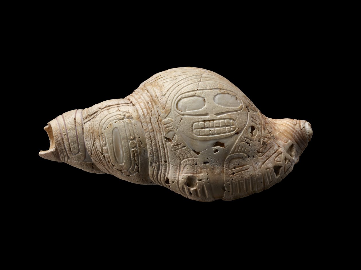 Carved Conch Shell by Culture Taino
