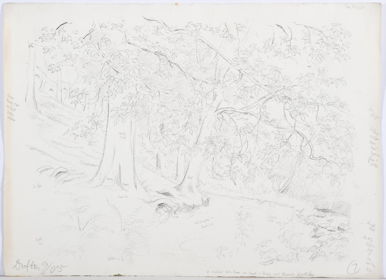 c.1916 by Daniel Oliver