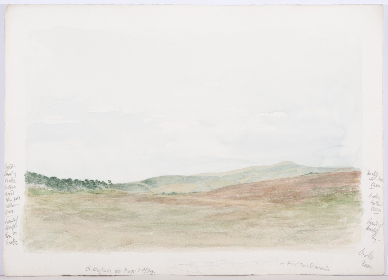 c.1916 by Daniel Oliver
