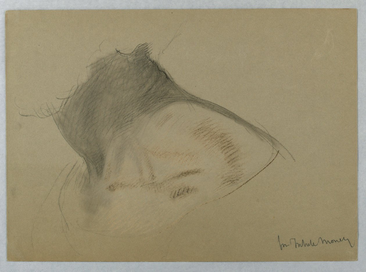Study of Neck for 