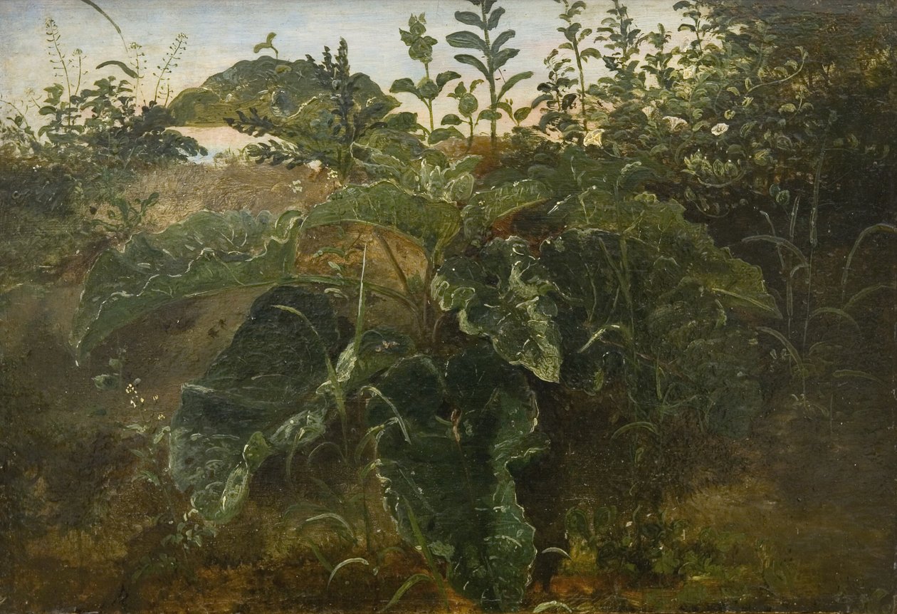 Foreground Study with Dock Leaves by Dankvart Dreyer