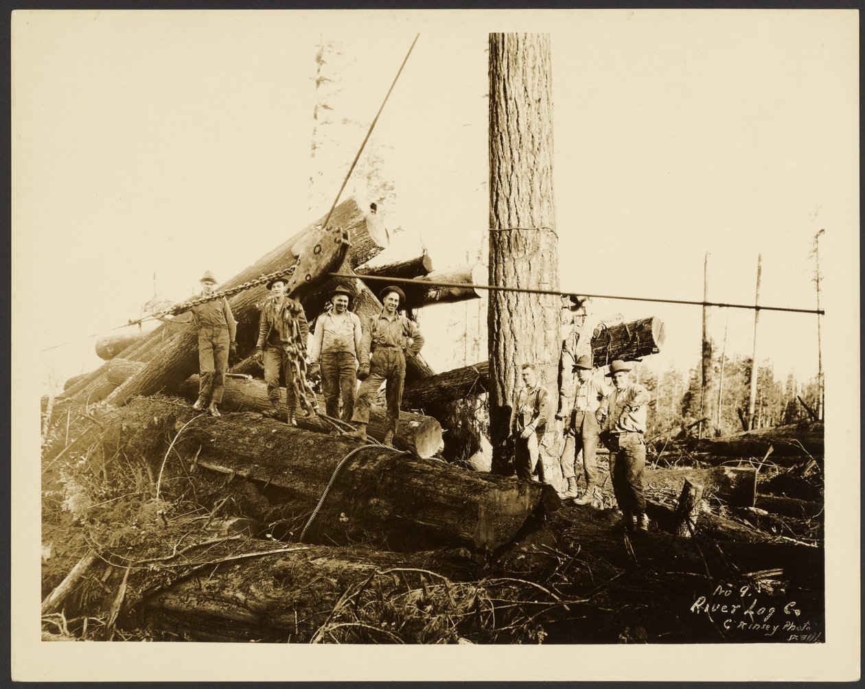 Loggers by Darius Kinsey