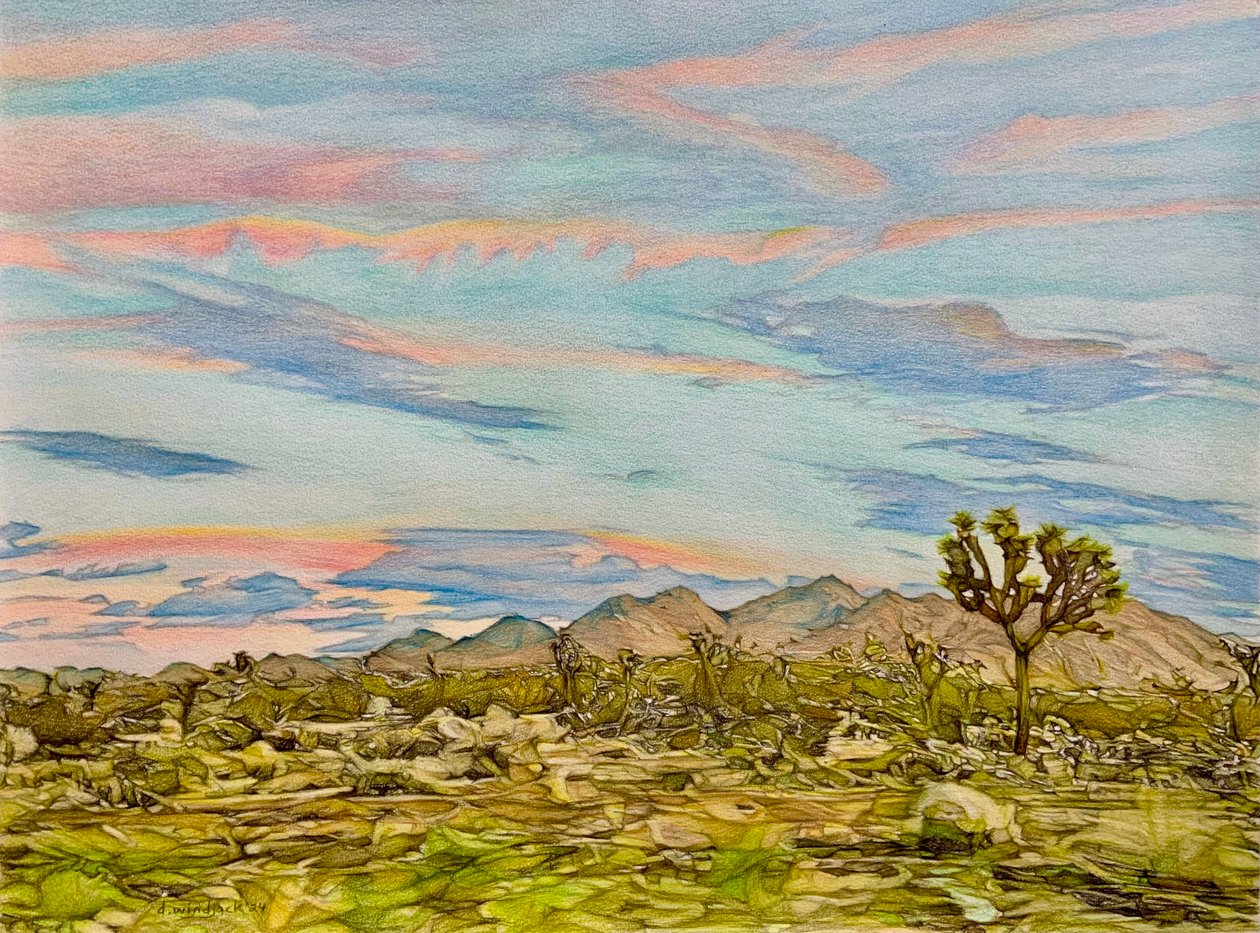 The Joshua Tree by Darrell Windjack