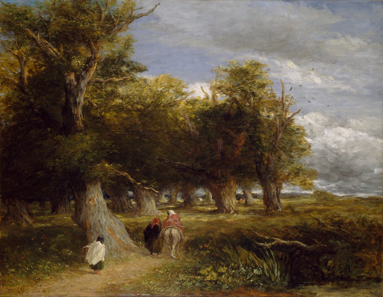 Skirts of the Forest by David Cox