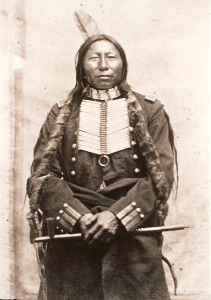Crow King by David Frances Barry